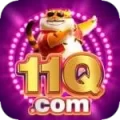 11q Casino Master v5.8.4